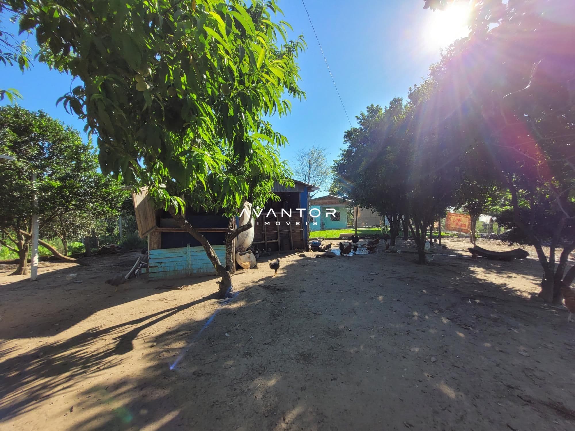 Chácara com 3 quartos à venda em Interior, Dilermando de Aguiar/RS — foto 36 de 62