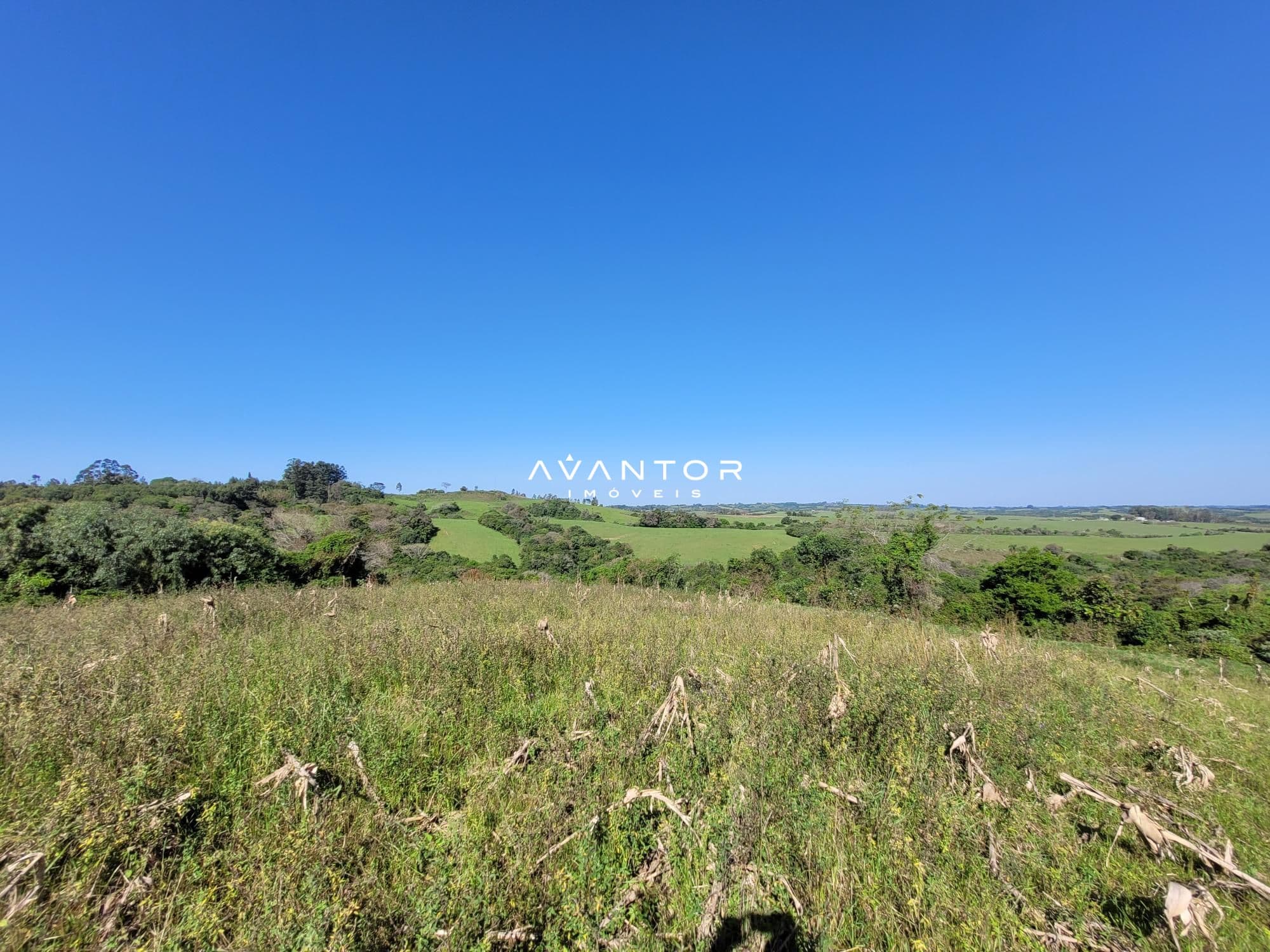 Chácara com 3 quartos à venda em Interior, Dilermando de Aguiar/RS — foto 39 de 62