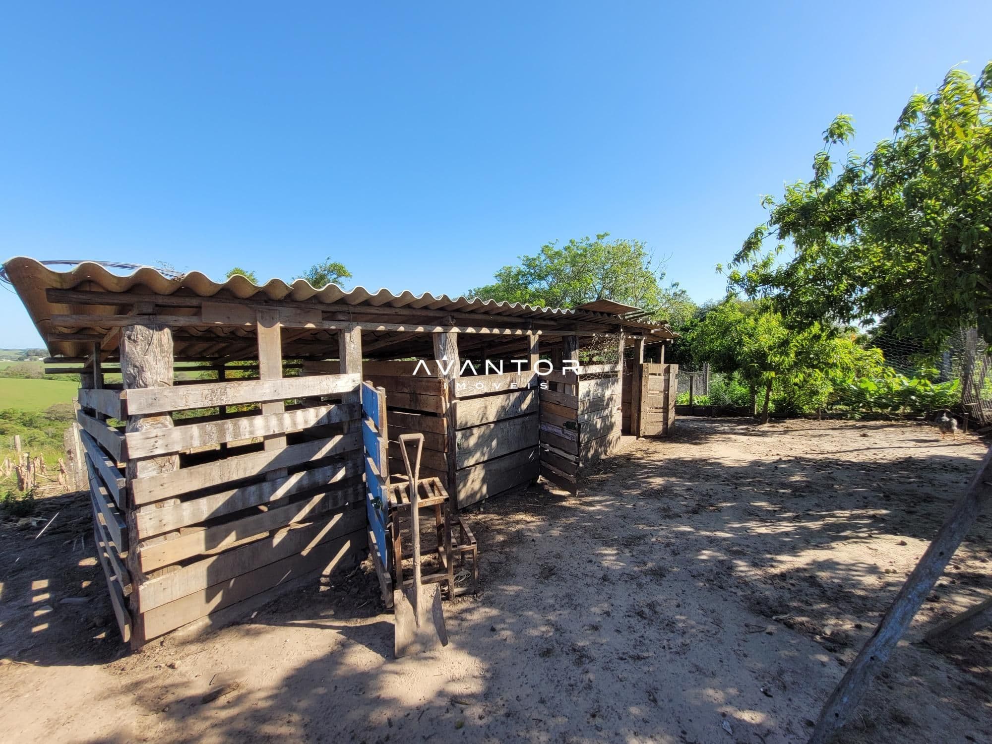 Chácara com 3 quartos à venda em Interior, Dilermando de Aguiar/RS — foto 46 de 62
