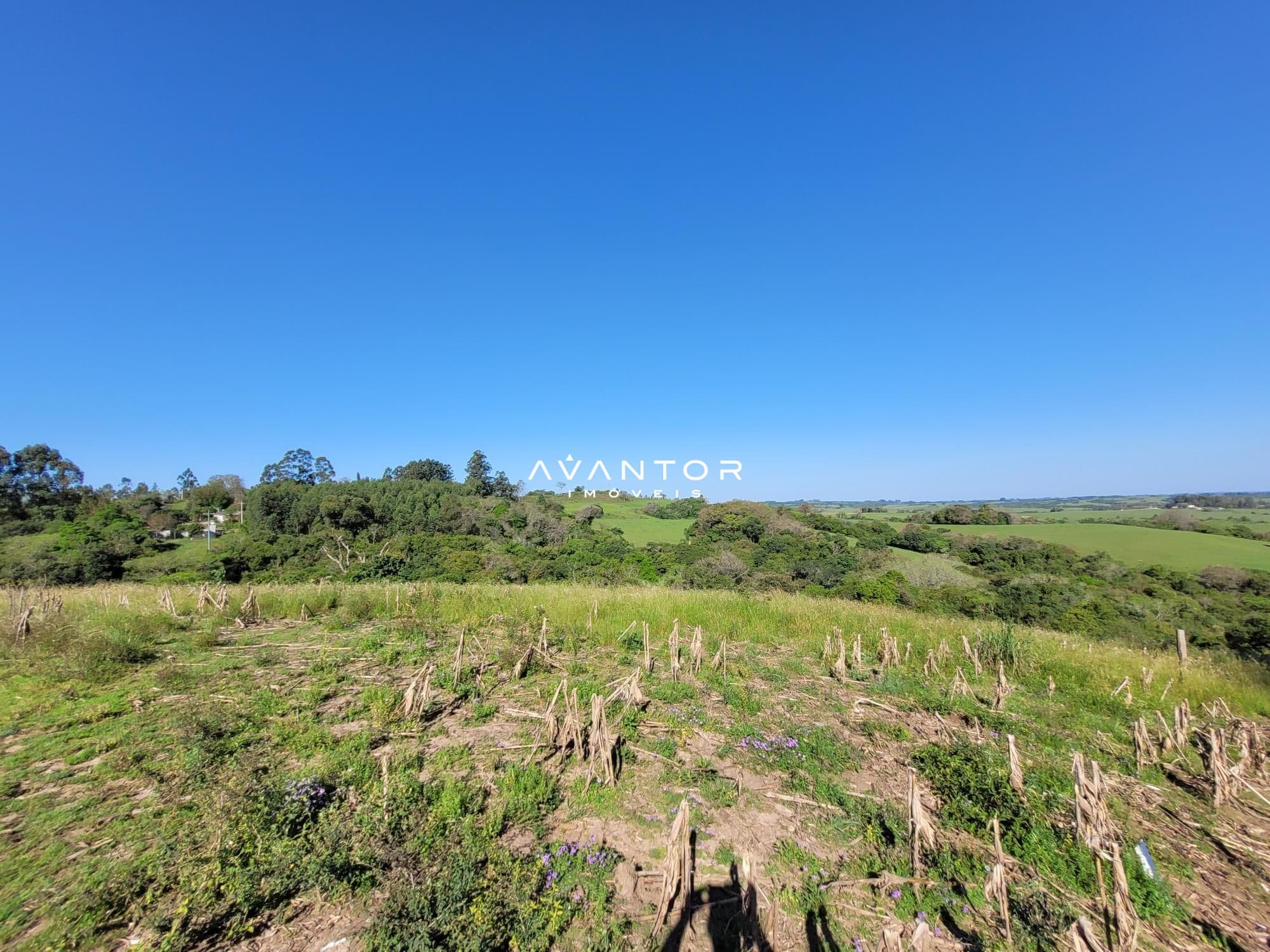 Chácara com 3 quartos à venda em Interior, Dilermando de Aguiar/RS — foto 49 de 62
