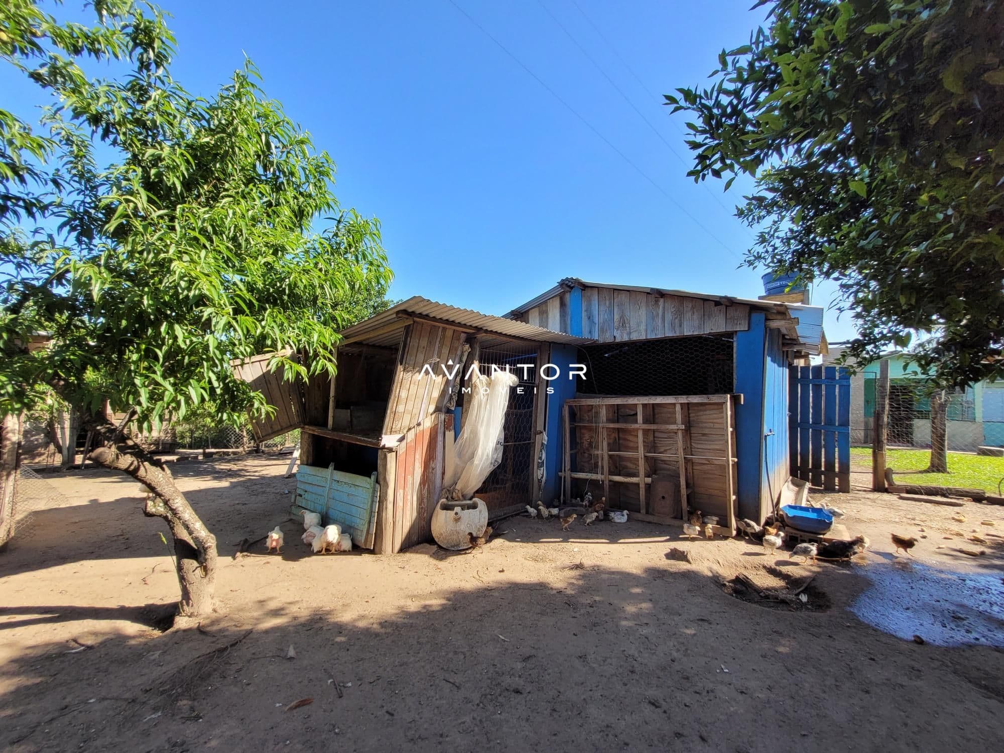 Chácara com 3 quartos à venda em Interior, Dilermando de Aguiar/RS — foto 50 de 62