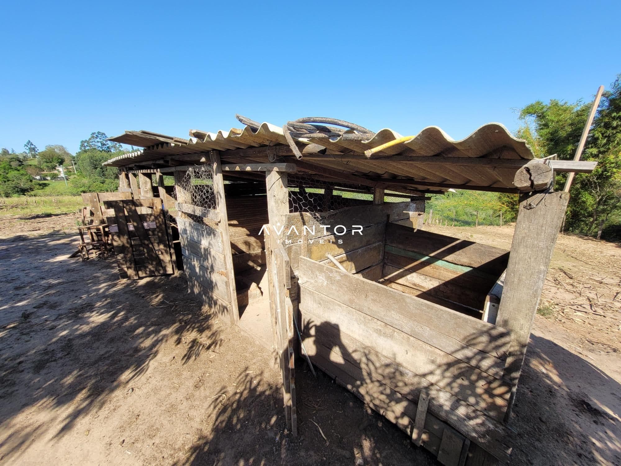 Chácara com 3 quartos à venda em Interior, Dilermando de Aguiar/RS — foto 52 de 62