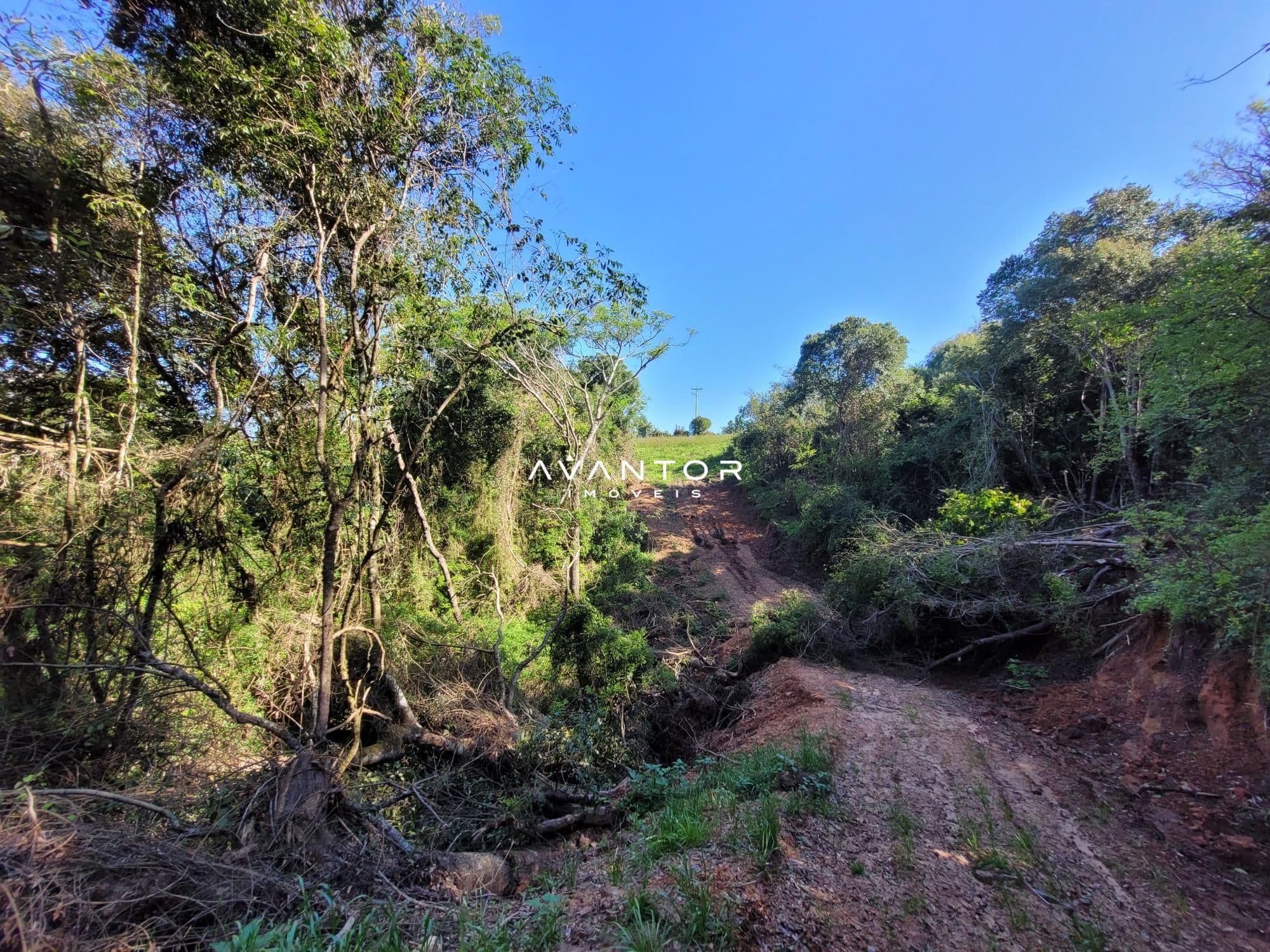 Chácara com 3 quartos à venda em Interior, Dilermando de Aguiar/RS — foto 53 de 62