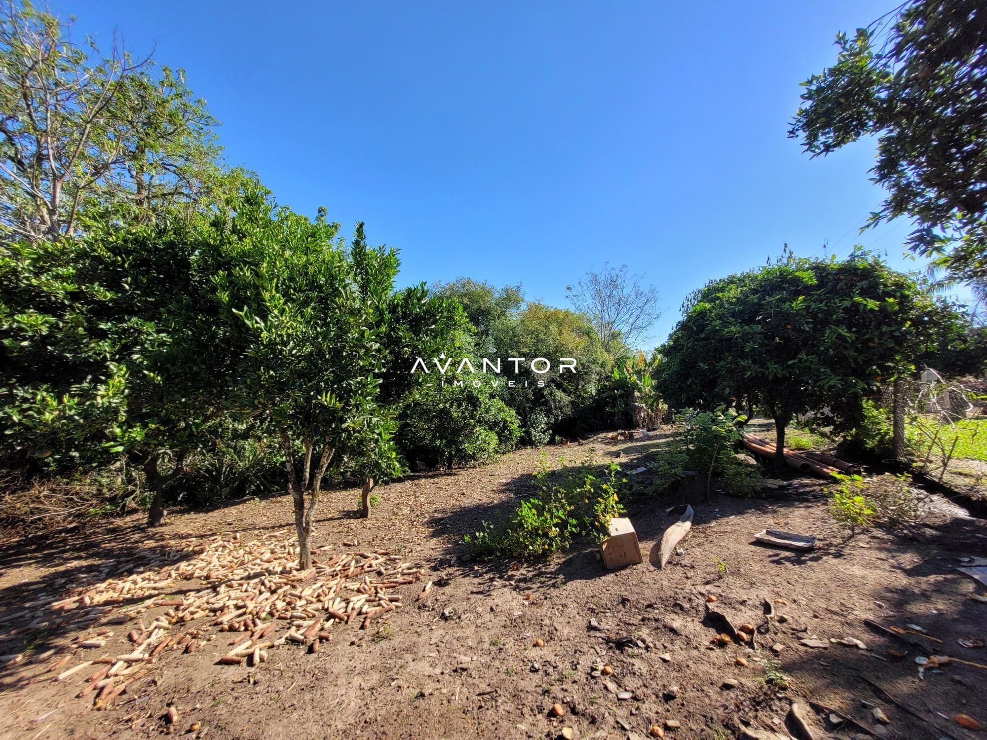 Chácara com 3 quartos à venda em Interior, Dilermando de Aguiar/RS — foto 57 de 62