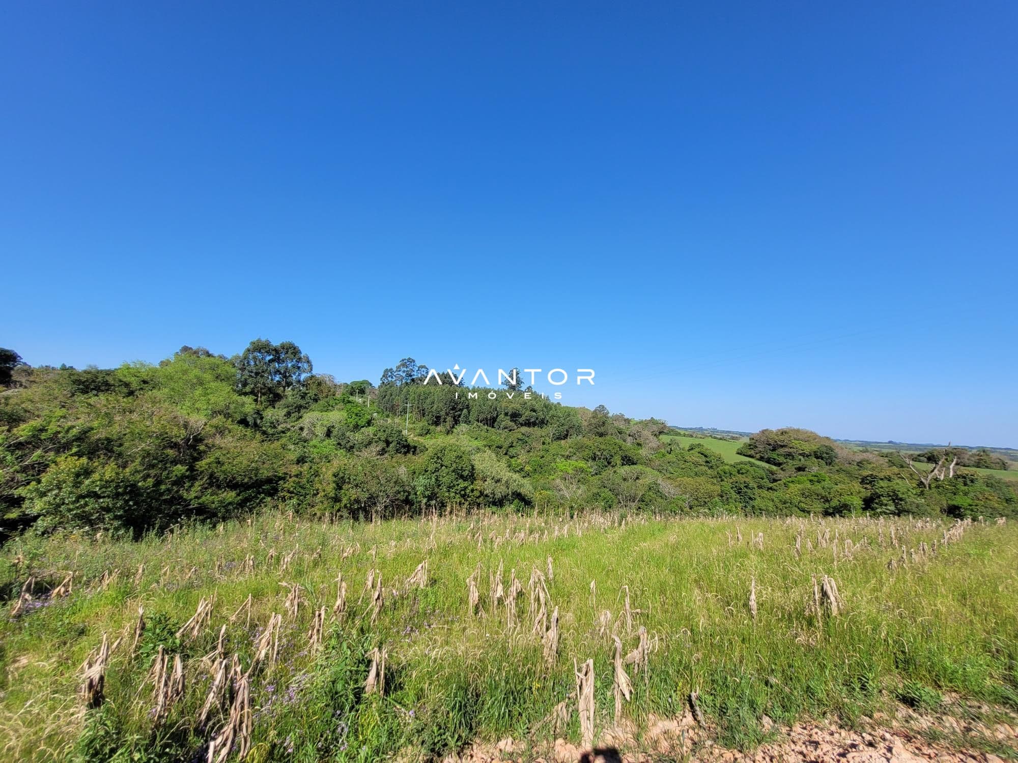 Chácara com 3 quartos à venda em Interior, Dilermando de Aguiar/RS — foto 61 de 62