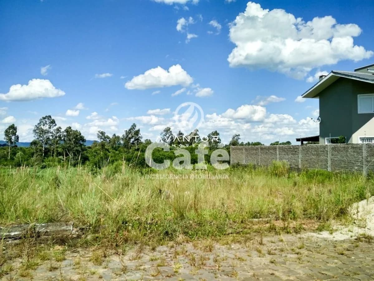 Terreno com vegetação e muro — Terreno à venda no Residencial Ouro Verde, em Pé de Plátano, Santa Maria/RS