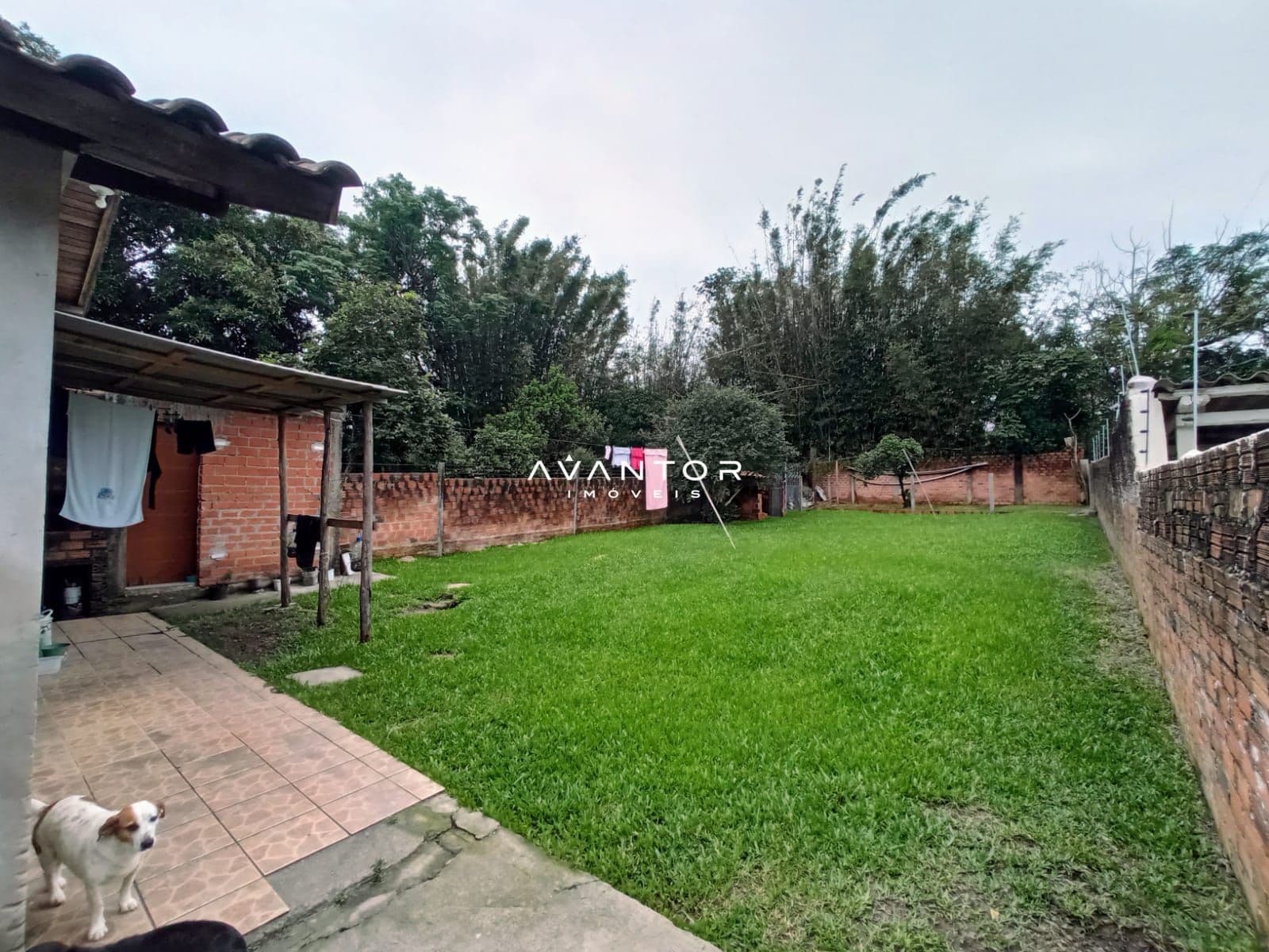 Terreno com 4 quartos à venda em Nossa Senhora das Dores, Santa Maria/RS — foto 6 de 7