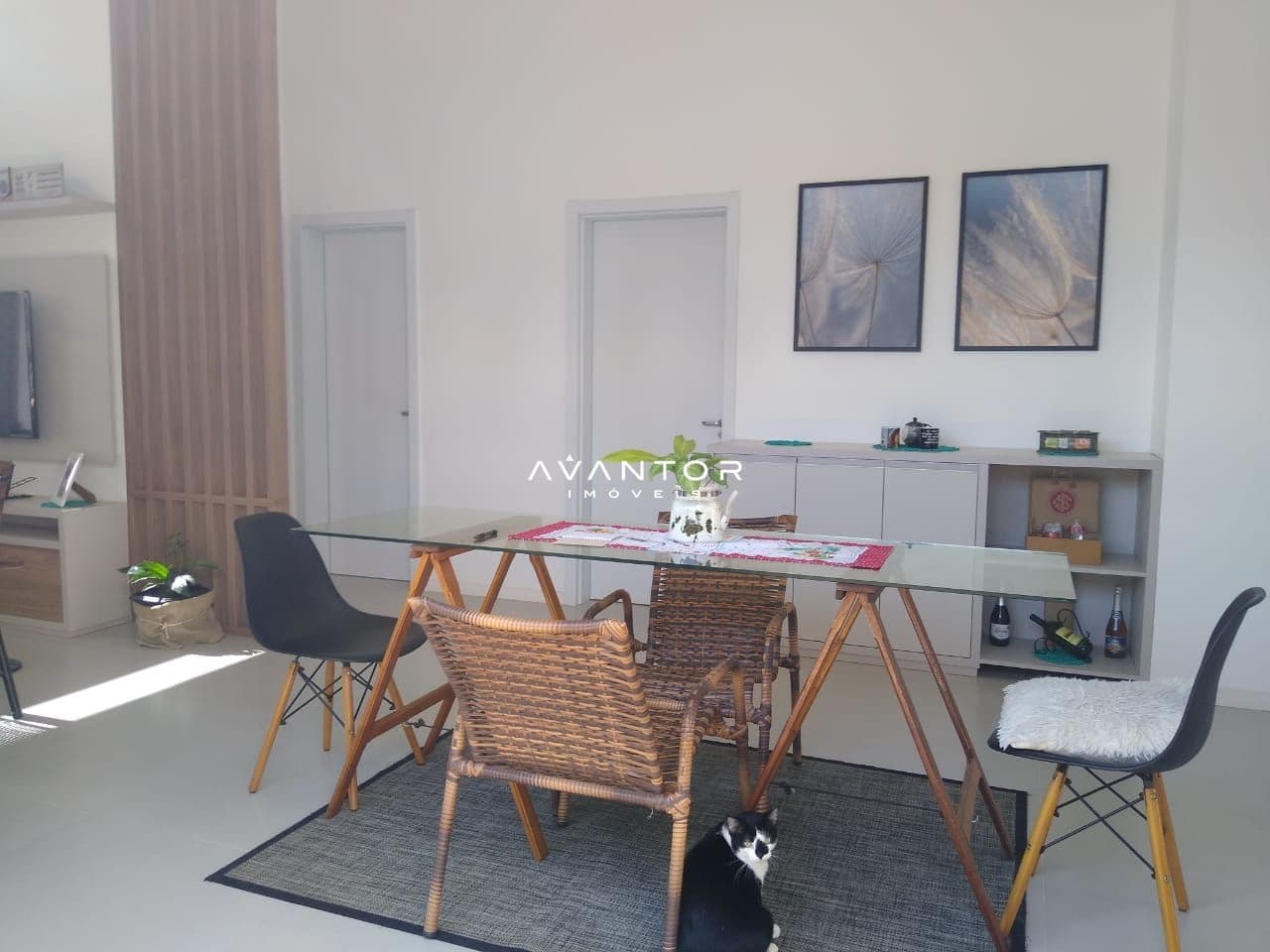 Casa com 3 quartos à venda em Pinheiro Machado, Santa Maria/RS — foto 14 de 21