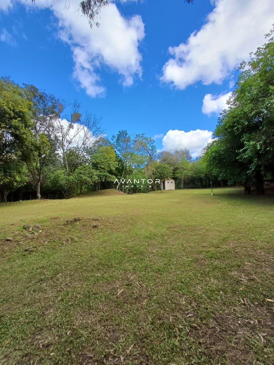 Chácara com 2 quartos à venda em Campestre do Menino Deus, Santa Maria/RS — foto 5 de 14