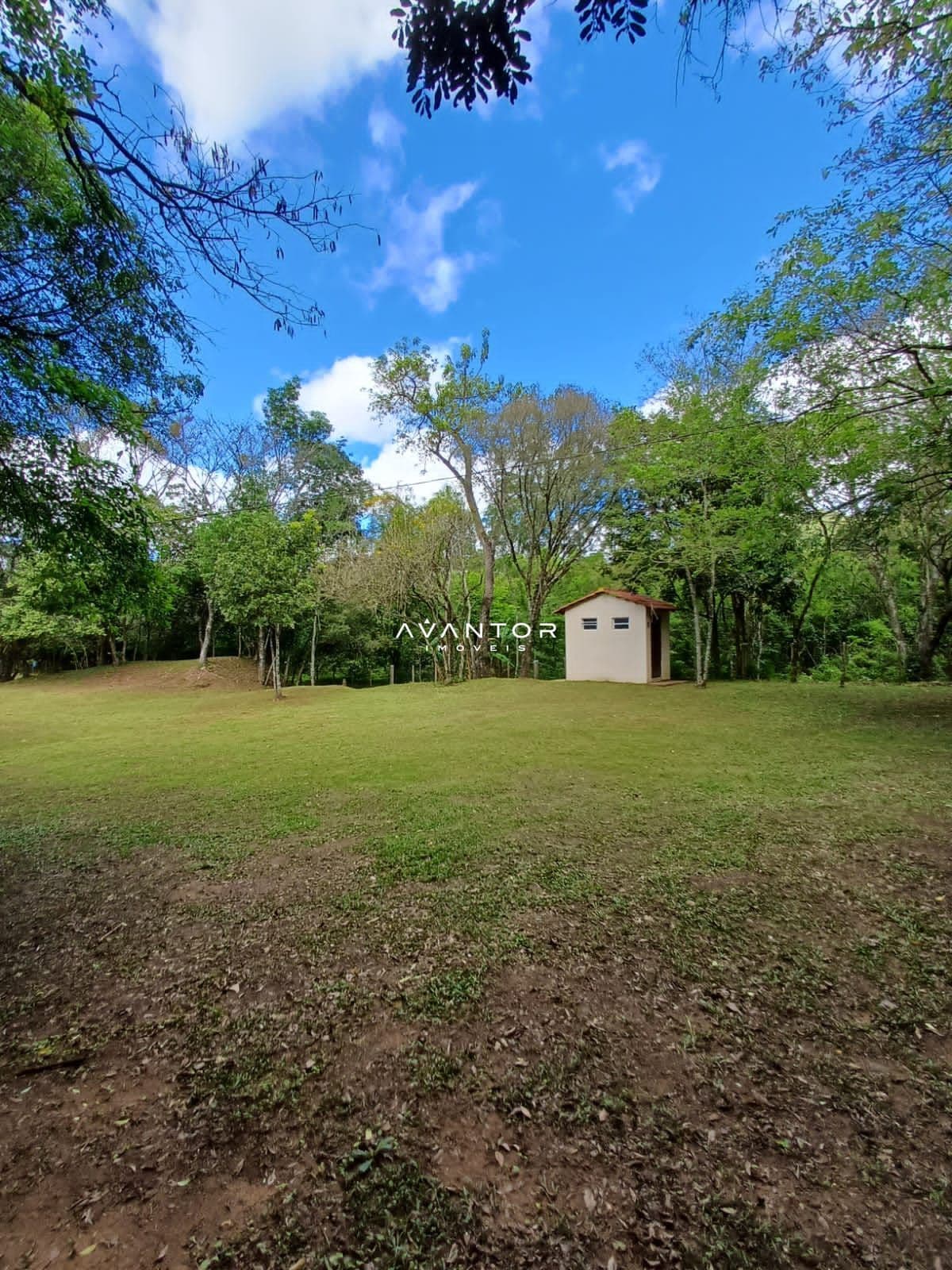 Chácara com 2 quartos à venda em Campestre do Menino Deus, Santa Maria/RS — foto 7 de 14