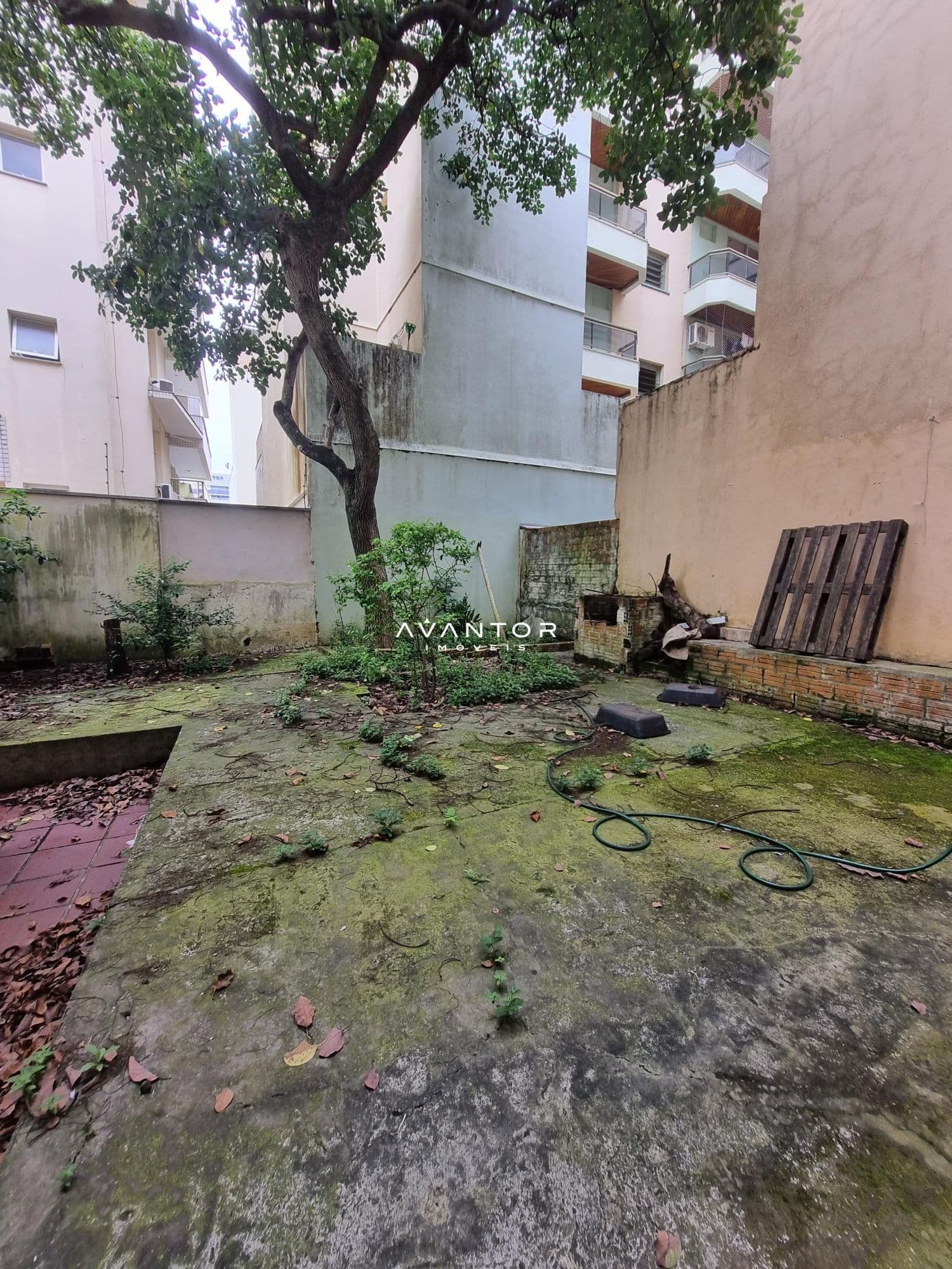 Casa com 4 quartos à venda em Centro, Santa Maria/RS — foto 25 de 25