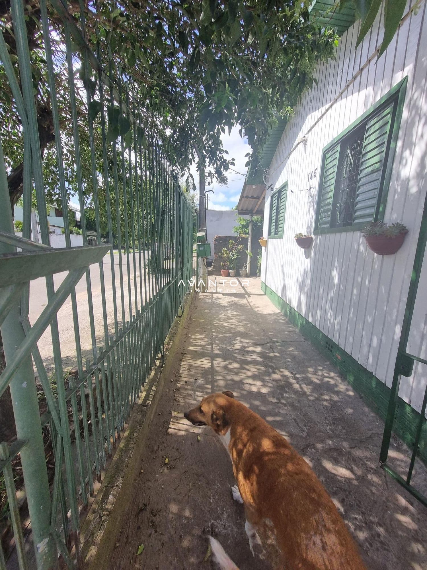 Terreno à venda em Urlândia, Santa Maria/RS — foto 2 de 4