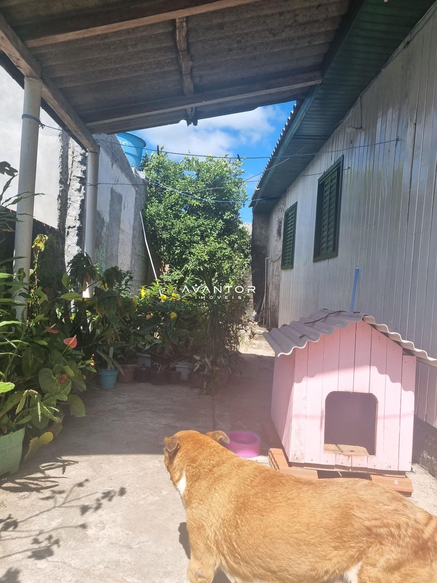 Terreno à venda em Urlândia, Santa Maria/RS — foto 3 de 4