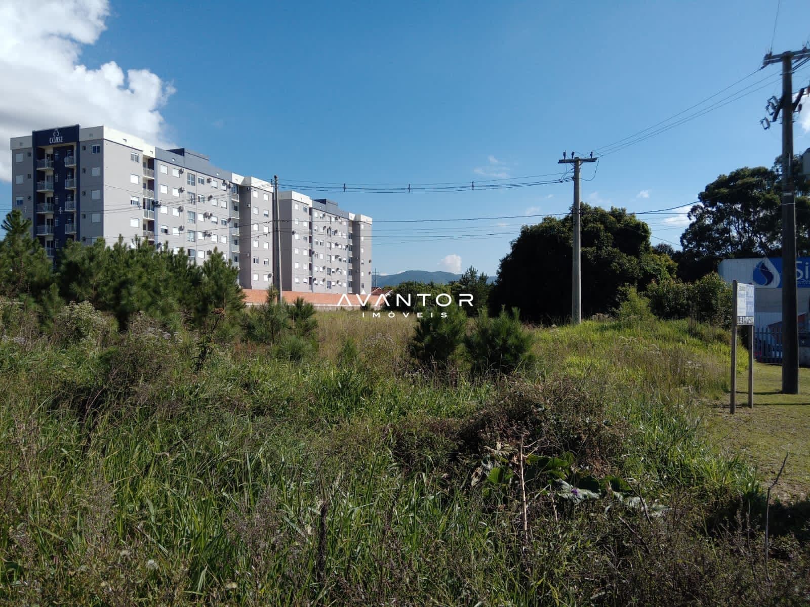 Terreno à venda em Camobi, Santa Maria/RS — foto 4 de 8