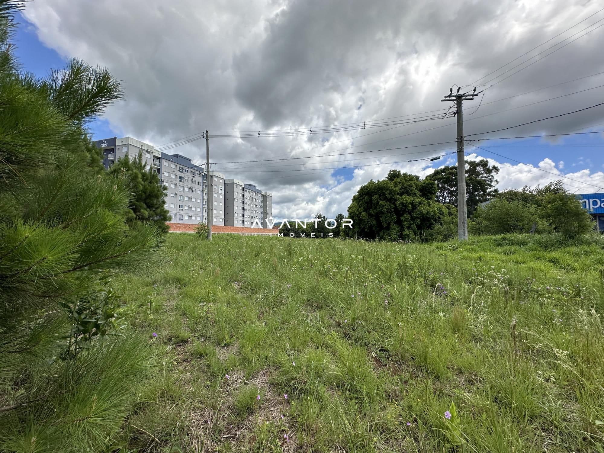 Terreno à venda em Camobi, Santa Maria/RS — foto 8 de 8