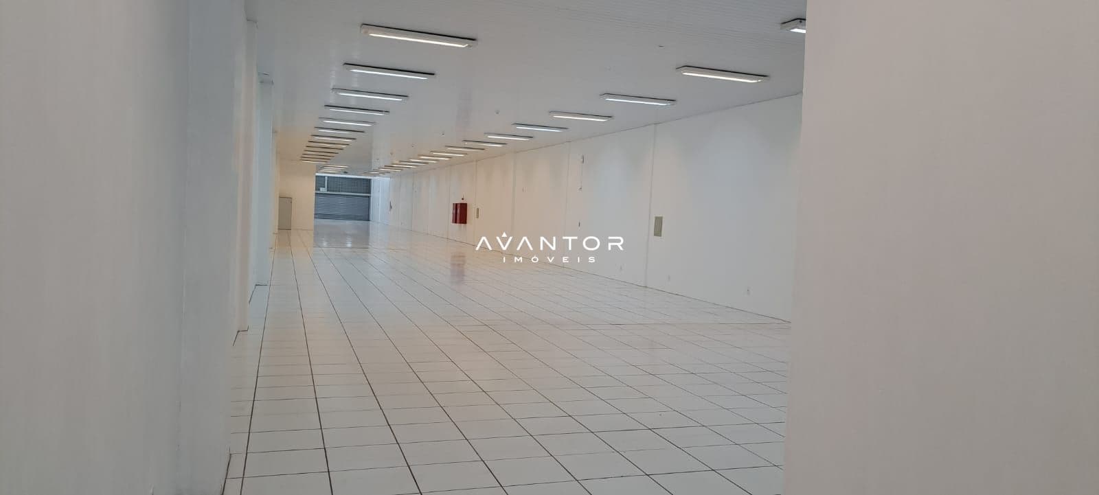 Loja com 2 salas para alugar em Centro, Santa Maria/RS — foto 5 de 10