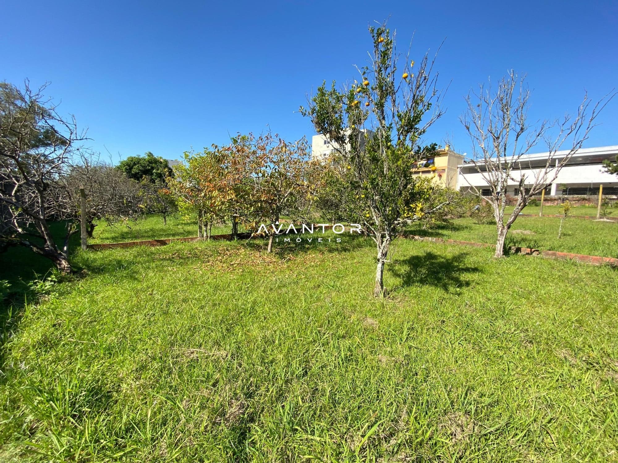 Casa com 3 quartos à venda em Km 3, Santa Maria/RS — foto 16 de 20