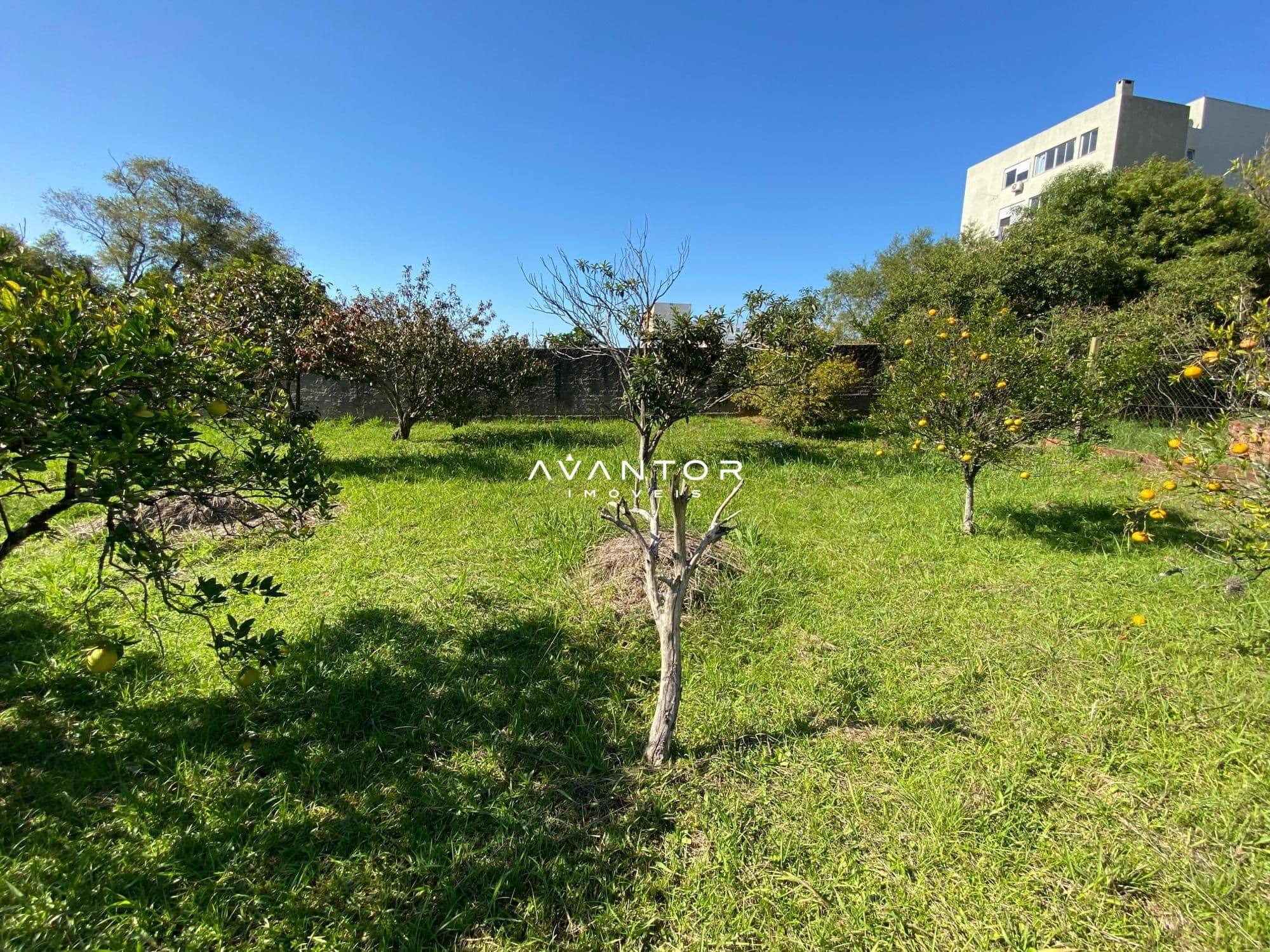 Casa com 3 quartos à venda em Km 3, Santa Maria/RS — foto 19 de 20