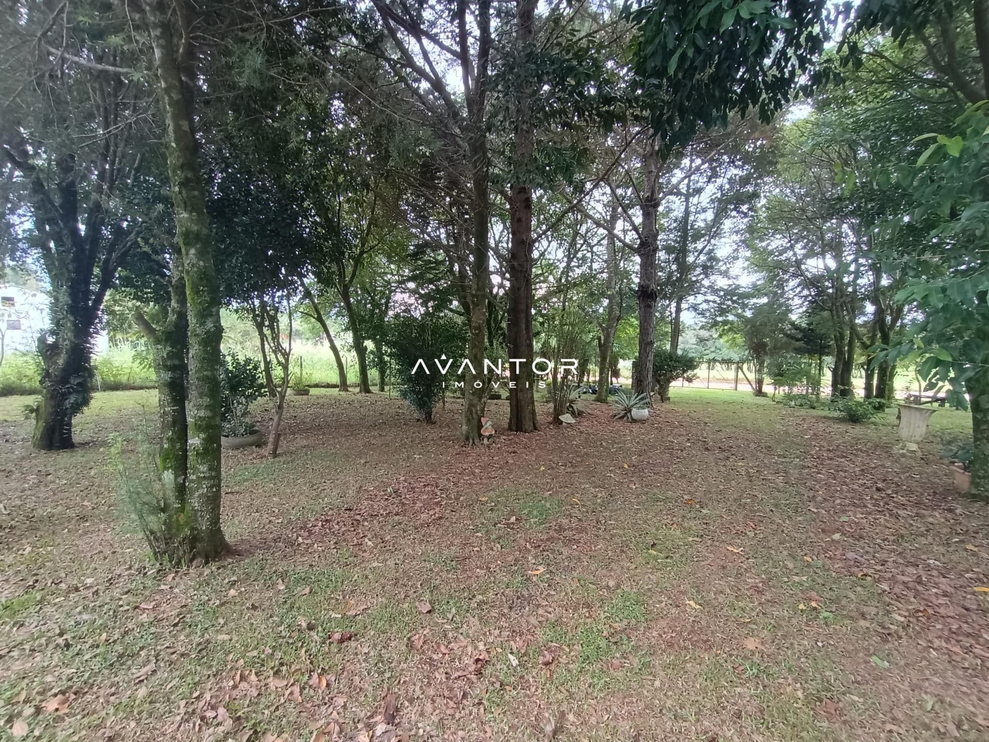 Chácara com 2 quartos à venda em Zona rural, São Martinho da Serra/RS — foto 3 de 24