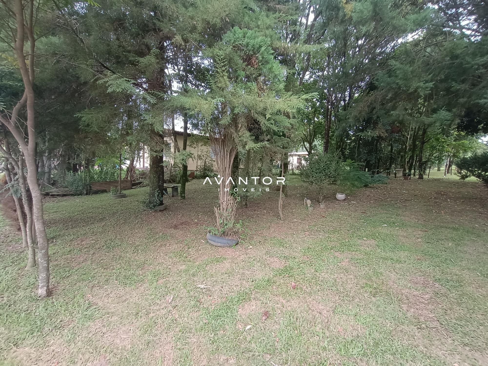 Chácara com 2 quartos à venda em Zona rural, São Martinho da Serra/RS — foto 4 de 24