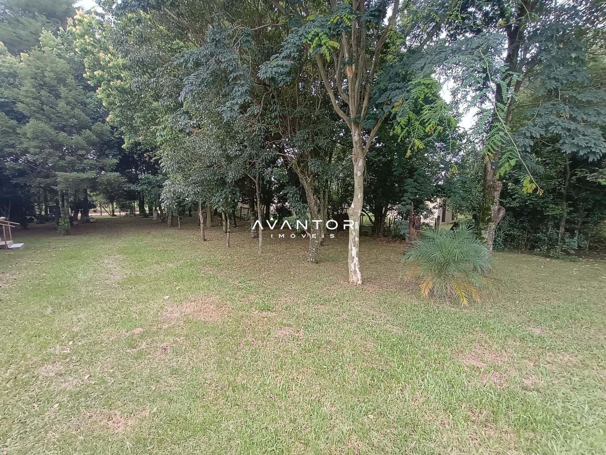 Chácara com 2 quartos à venda em Zona rural, São Martinho da Serra/RS — foto 6 de 24