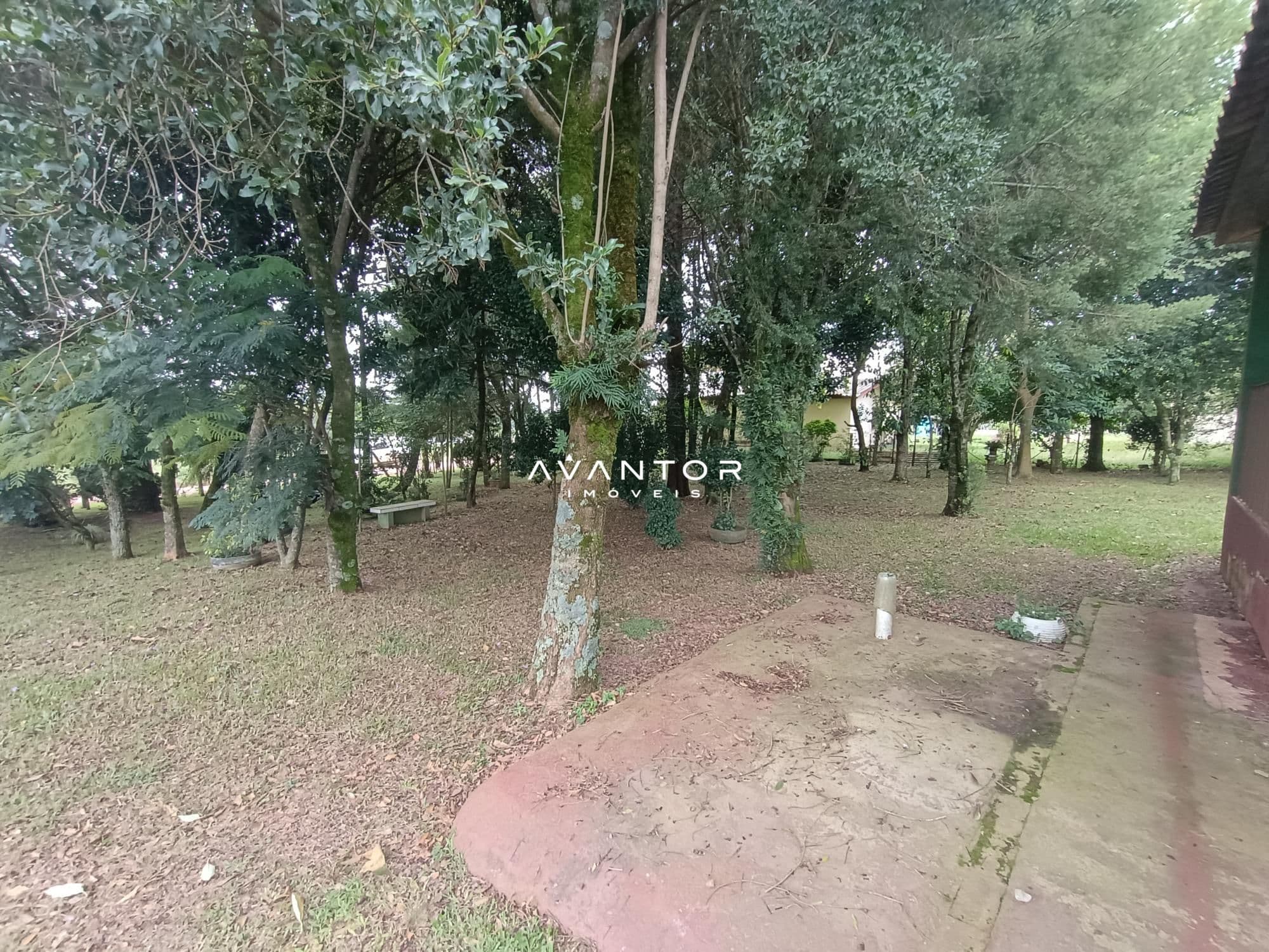 Chácara com 2 quartos à venda em Zona rural, São Martinho da Serra/RS — foto 8 de 24