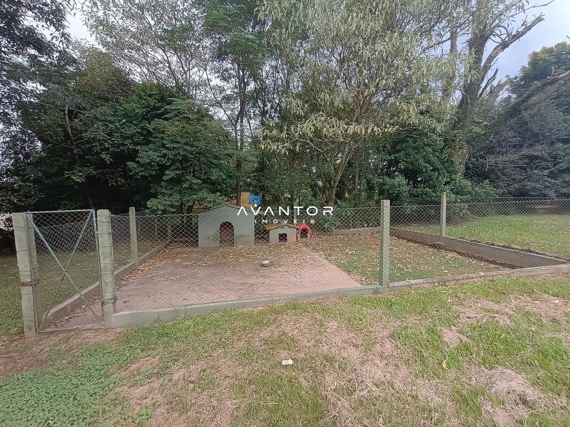 Chácara com 2 quartos à venda em Zona rural, São Martinho da Serra/RS — foto 12 de 24