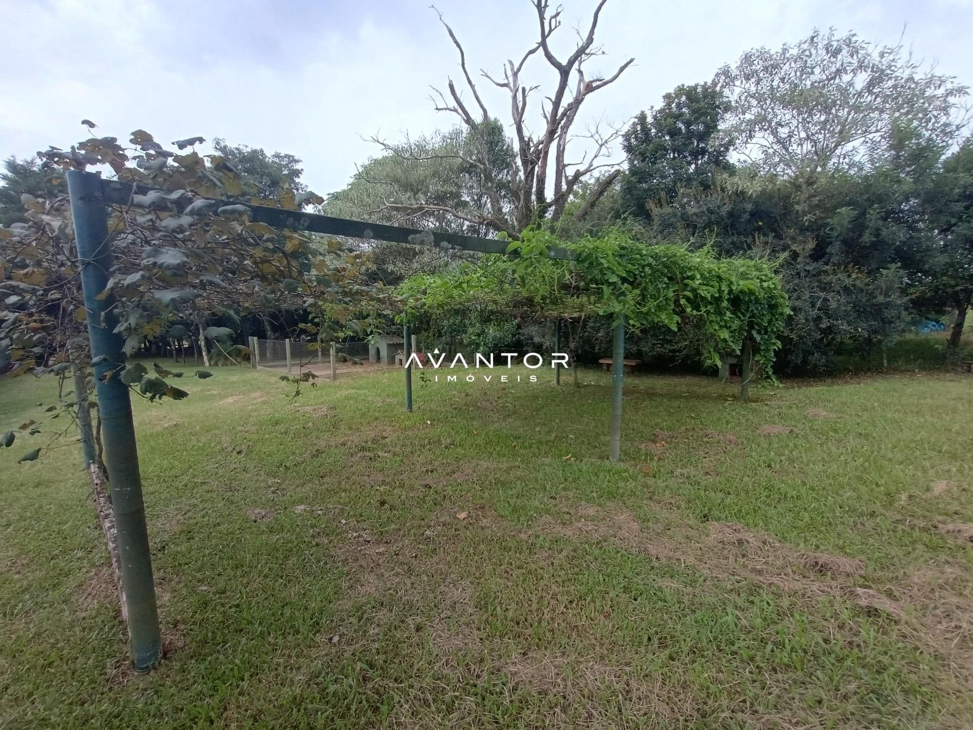 Chácara com 2 quartos à venda em Zona rural, São Martinho da Serra/RS — foto 13 de 24