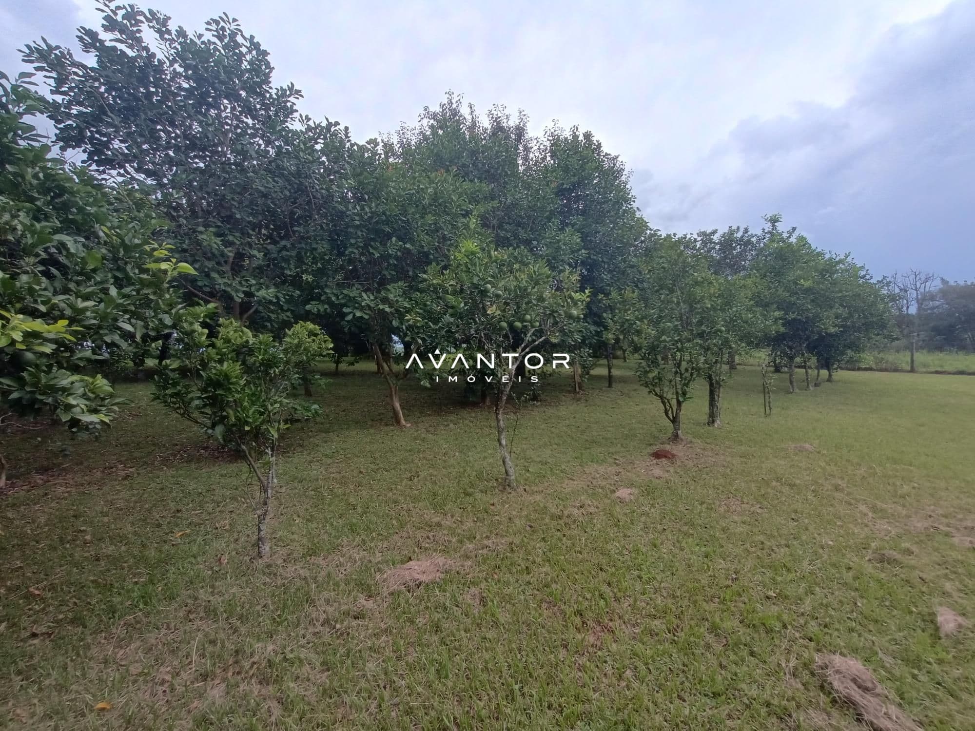 Chácara com 2 quartos à venda em Zona rural, São Martinho da Serra/RS — foto 21 de 24