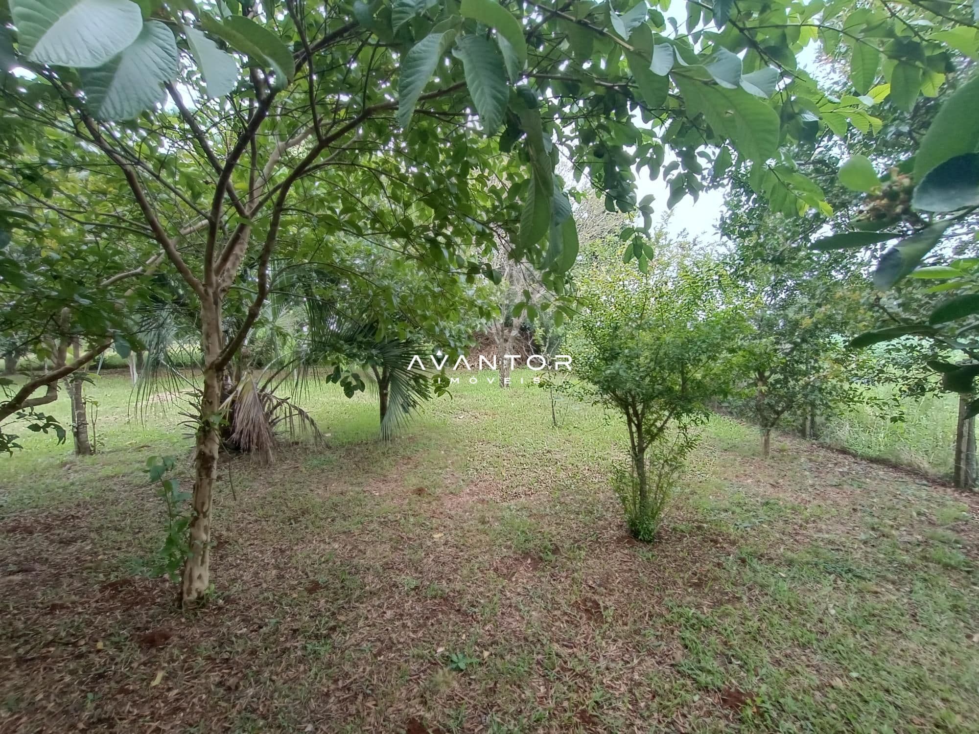 Chácara com 2 quartos à venda em Zona rural, São Martinho da Serra/RS — foto 23 de 24