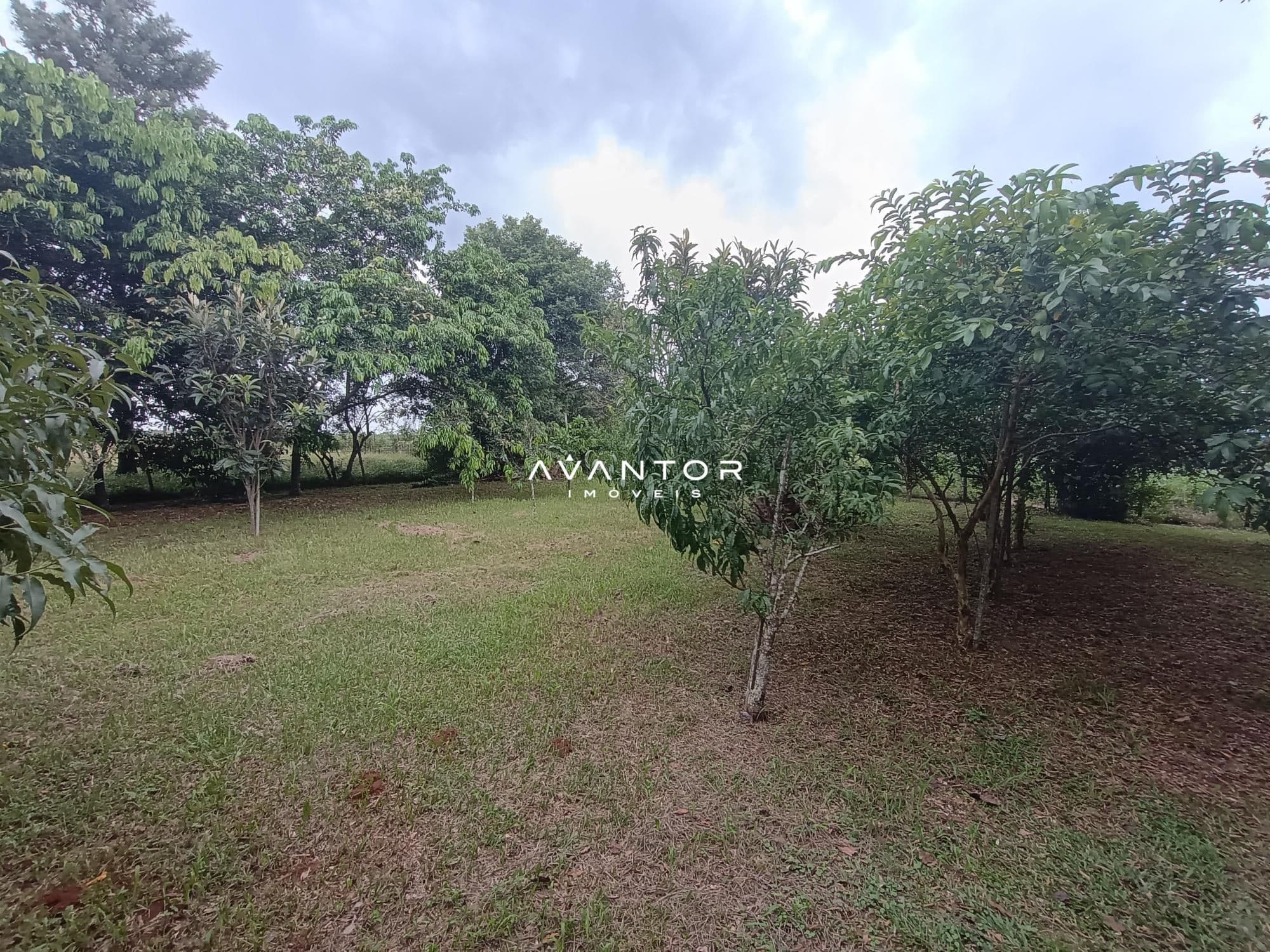 Chácara com 2 quartos à venda em Zona rural, São Martinho da Serra/RS — foto 24 de 24