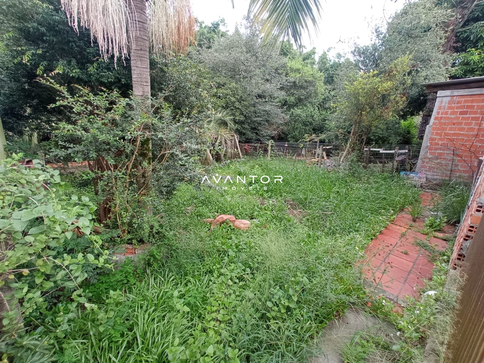 Casa Comercial com 4 salas à venda em Patronato, Santa Maria/RS — foto 19 de 20
