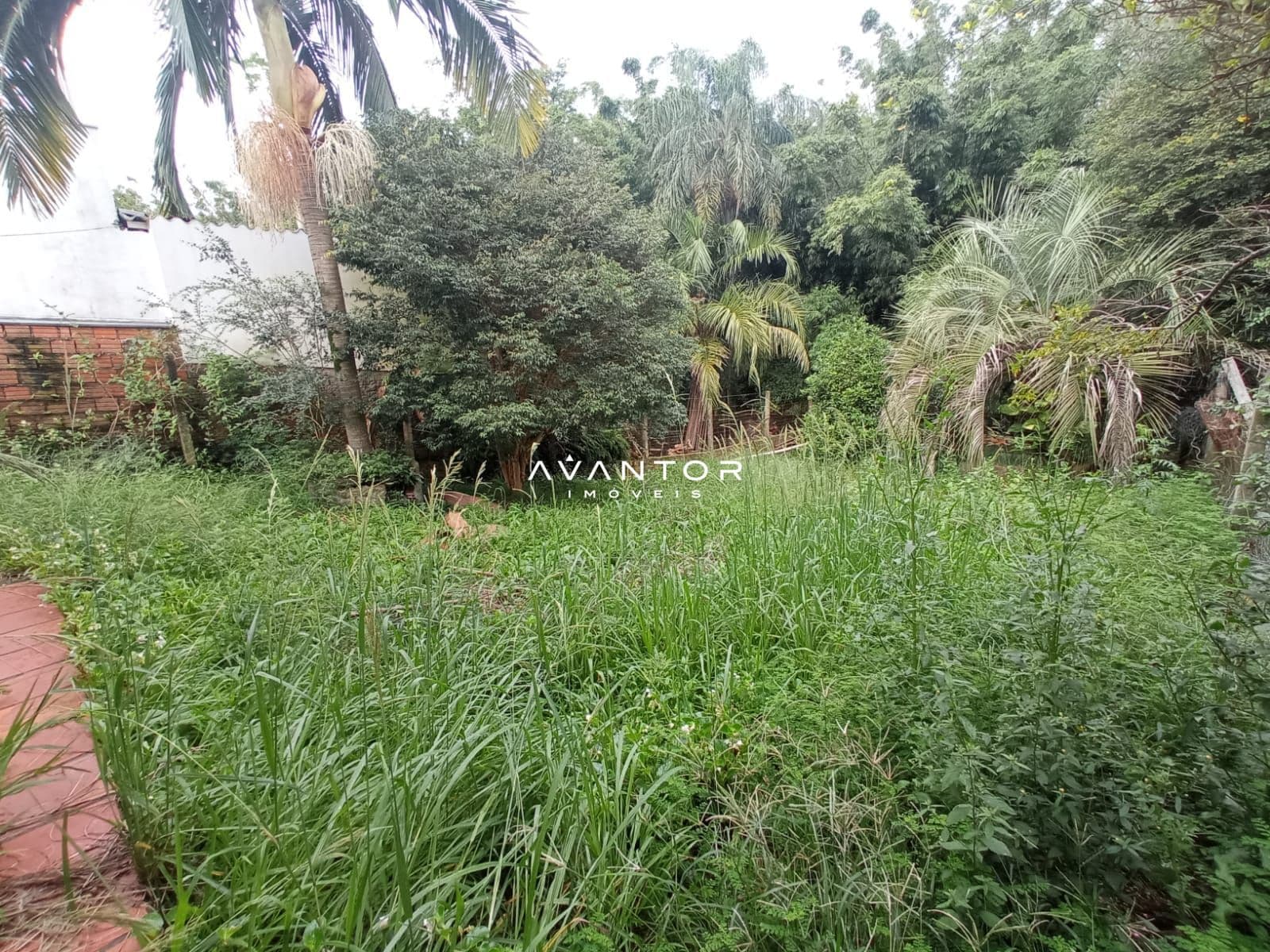Casa Comercial com 4 salas à venda em Patronato, Santa Maria/RS — foto 20 de 20