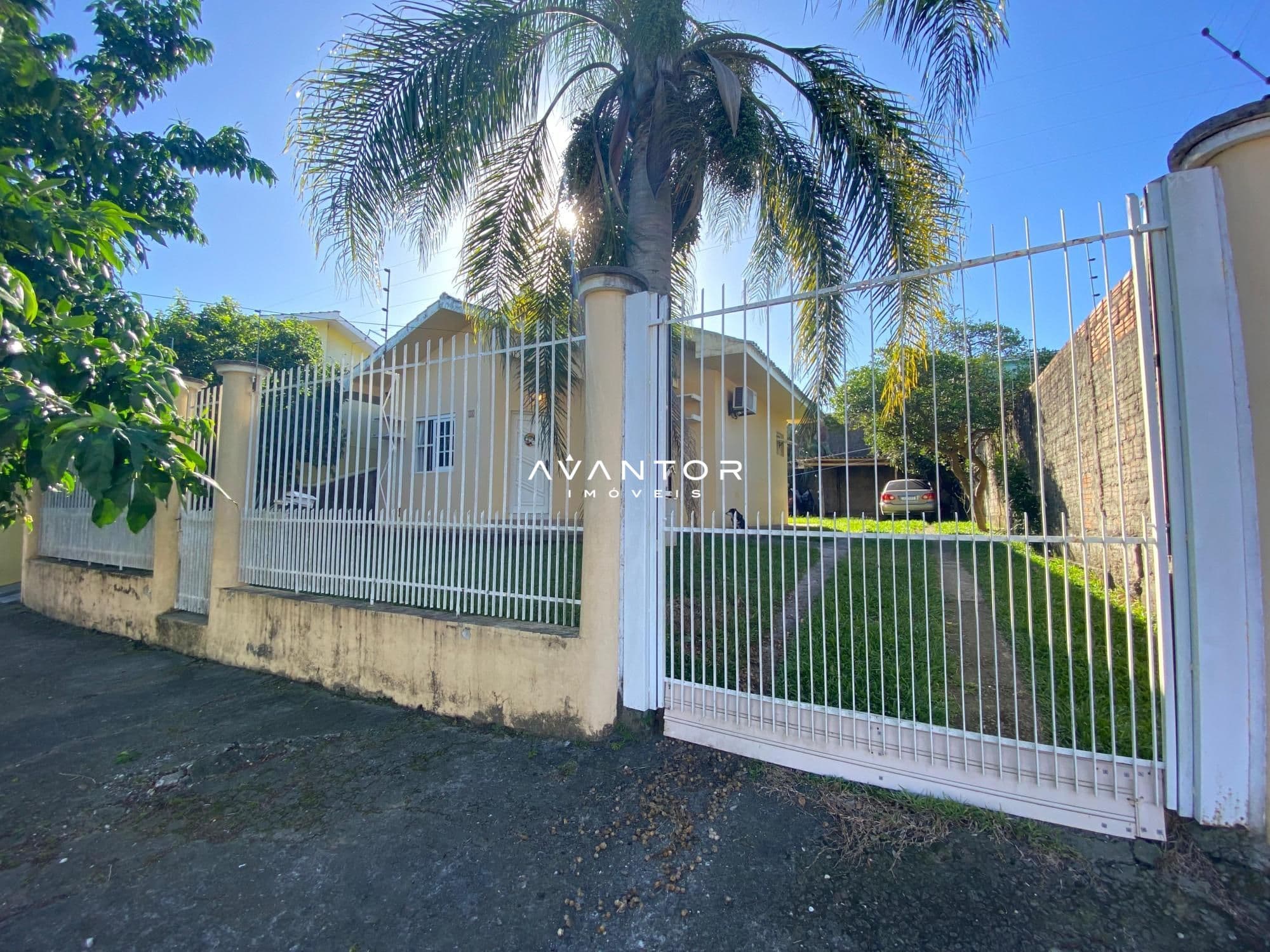 Fachada da casa com portão e palmeira — Casa com 1 quarto à venda em Camobi, Santa Maria/RS