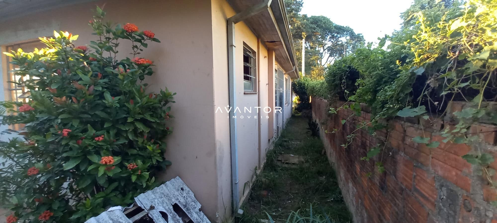 Casa com 3 quartos à venda em Passo D'Areia, Santa Maria/RS — foto 7 de 16