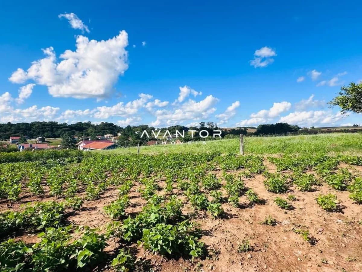 Terreno rural com plantação e construções ao fundo — Terreno à venda em Silveira Martins, Silveira Martins/RS