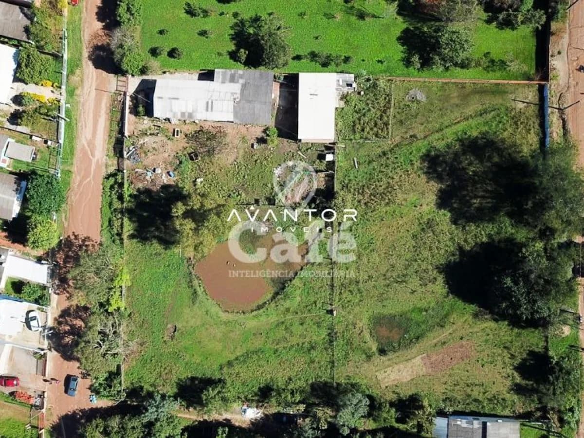 Vista aérea do terreno com áreas verdes — Terreno à venda em Boi Morto, Santa Maria/RS