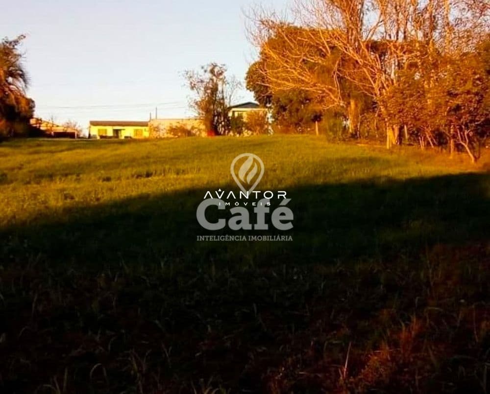 Terreno com árvores e construções ao fundo — Terreno à venda em Pinheiro Machado, Santa Maria/RS
