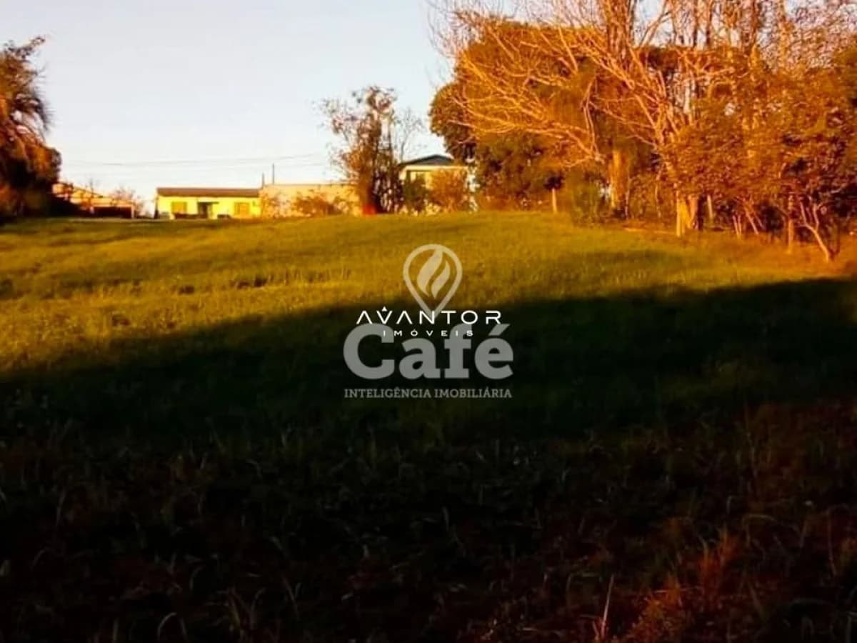 Terreno com árvores e construções ao fundo — Terreno à venda em Pinheiro Machado, Santa Maria/RS