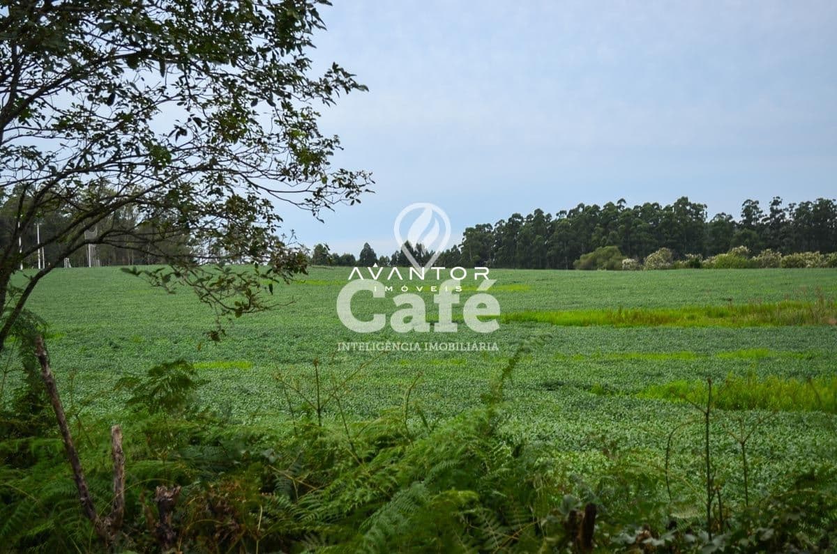 Terreno rural com vegetação e árvores — Terreno à venda em Cerrito, Santa Maria/RS