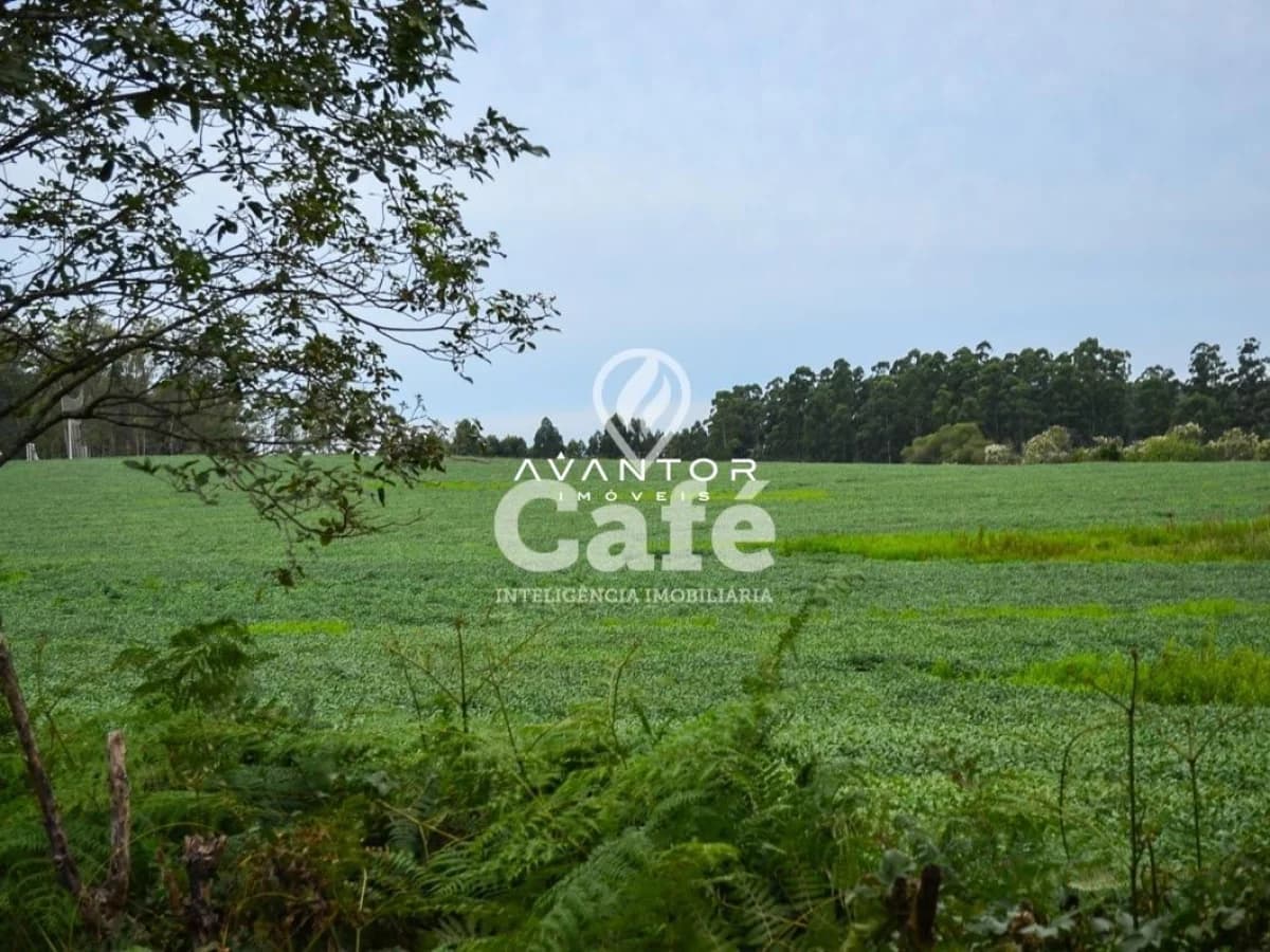 Terreno rural com vegetação e árvores — Terreno à venda em Cerrito, Santa Maria/RS