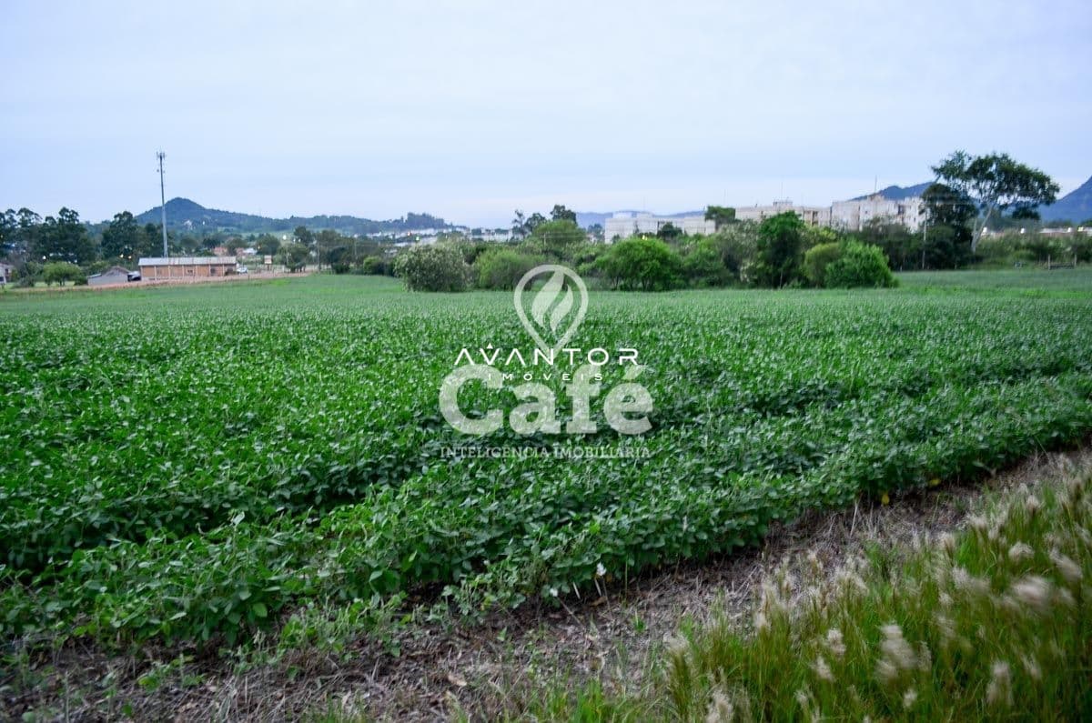 Terreno à venda em Cerrito, Santa Maria/RS — foto 2 de 4