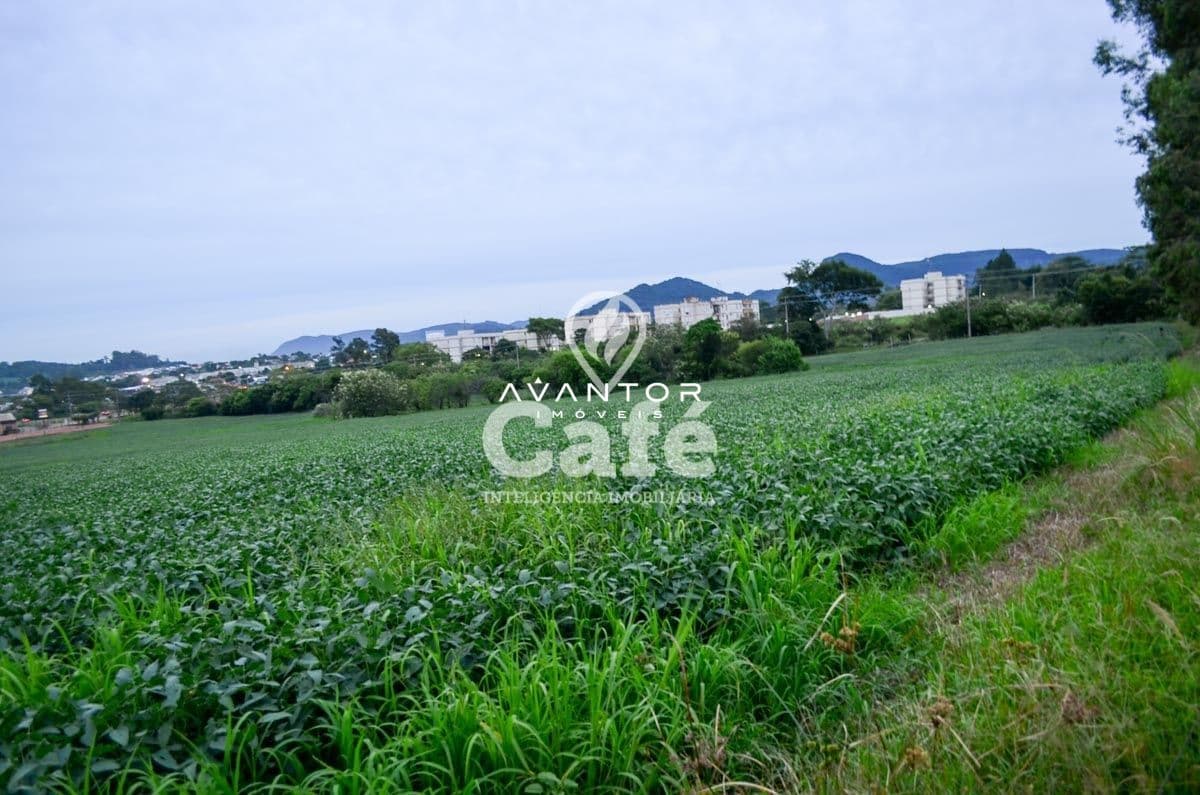 Terreno à venda em Cerrito, Santa Maria/RS — foto 3 de 4