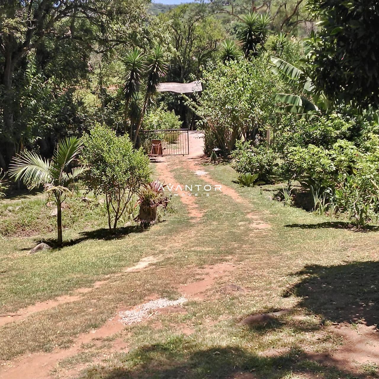 Chácara com 2 quartos à venda em Rincão dos Minelo, Itaara/RS — foto 14 de 15