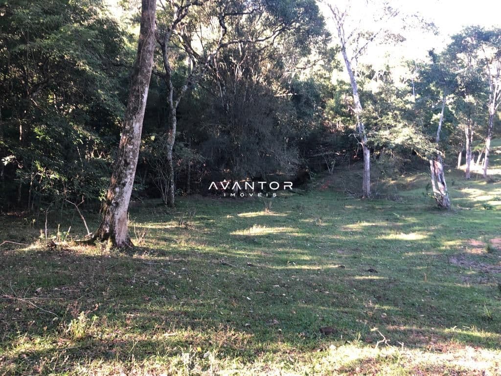 Campo à venda em Zona rural, Dona Francisca/RS — foto 3 de 12
