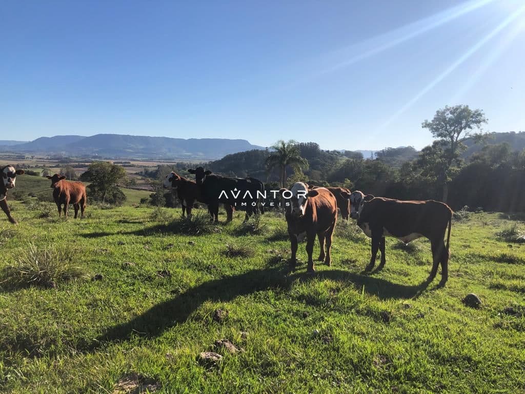 Campo à venda em Zona rural, Dona Francisca/RS — foto 7 de 12
