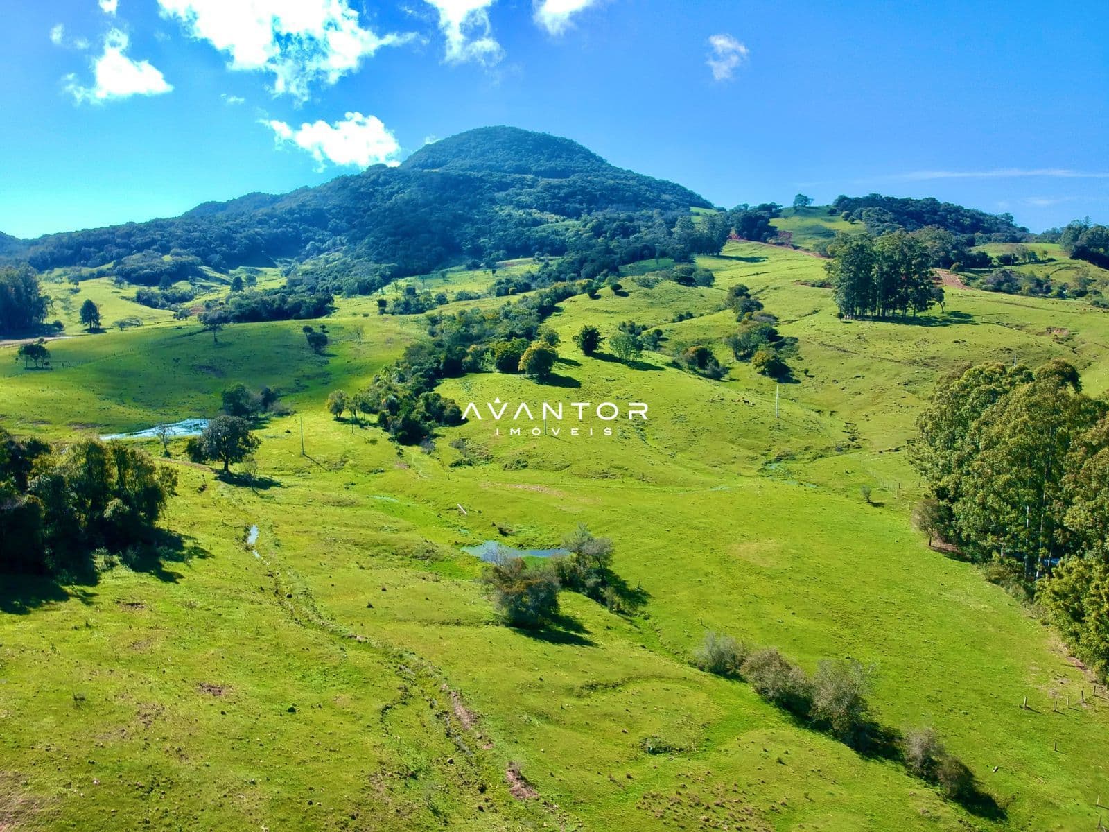 Campo à venda em Zona rural, Dona Francisca/RS — foto 10 de 12