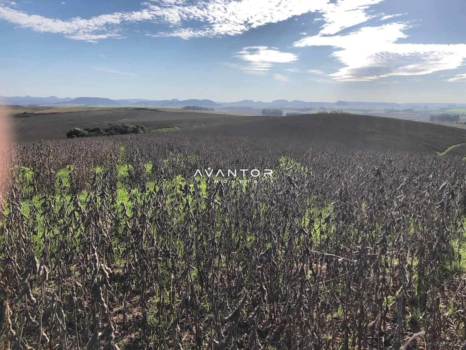 Campo à venda em Nossa Senhora do Rosário, Santa Maria/RS — foto 4 de 4