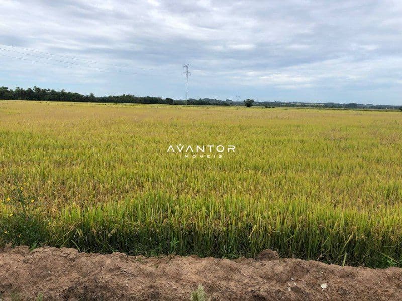 Campo à venda em Zona Rural, Rio Pardo/RS