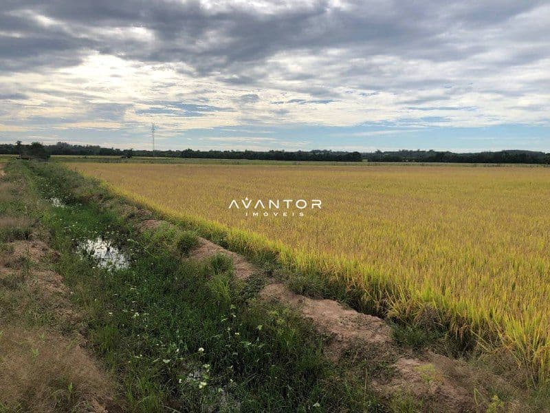 Campo à venda em Zona Rural, Rio Pardo/RS — foto 2 de 4